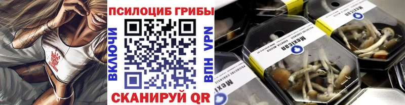 Галлюциногенные грибы Psilocybine cubensis Крым
