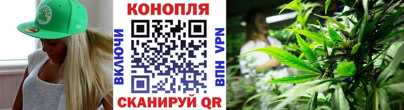 Бошки Шишки план  что такое   Крым 